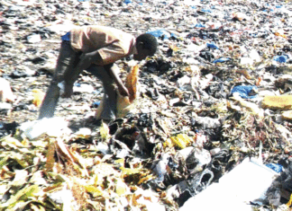 Recherche de l’emploi : Le salut dans les dépotoirs d’ordure