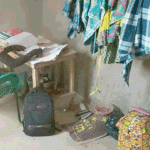 Scolarisation des élèves déplacés au Sahel : La croix et la bannière pour résister à l’obscurantisme