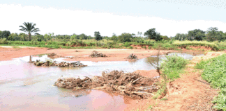 Assèchement de la rivière Kou : Un coupable avec plusieurs modes opératoires