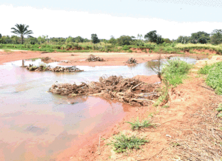 Assèchement de la rivière Kou : Un coupable avec plusieurs modes opératoires
