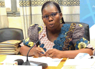 Programme d’urgence pour le Sahel : Le comité conjoint d’orientation fait le bilan