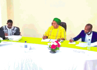 Tourisme burkinabè :La nomenclature des activités validée