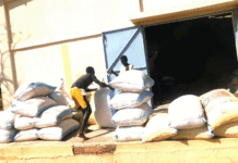 Production agricole dans la Boucle du Mouhoun : Le warrantage pour sortir les agriculteurs de la précarité