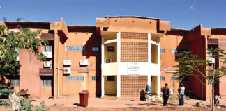 Lutte contre le paludisme : R21/Matrix-M, le candidat vaccin de tous les espoirs