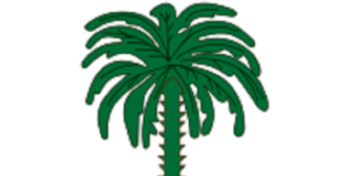 Accident sur le Dakar 2022 : L’éclairage du ministère saoudien des Affaires étrangères