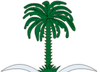 Accident sur le Dakar 2022 : L’éclairage du ministère saoudien des Affaires étrangères