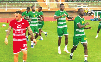 Nouvelle de l’écurie : Bertrand et Dayo de retour à l’entrainement