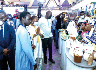 29e foire internationale de Dakar : Le Burkina se distingue avec une cinquantaine de stands