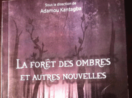 Université Nazi-Boni : Des étudiants signent un recueil de nouvelles