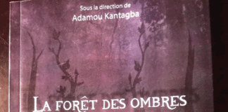 Université Nazi-Boni : Des étudiants signent un recueil de nouvelles