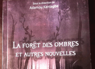 Université Nazi-Boni : Des étudiants signent un recueil de nouvelles