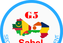 Burkina : Le G5 Sahel condamne énergiquement le coup d’État