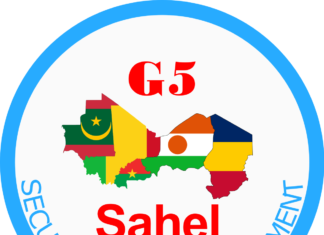 Burkina : Le G5 Sahel condamne énergiquement le coup d’État