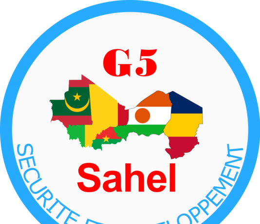 Burkina : Le G5 Sahel condamne énergiquement le coup d’État