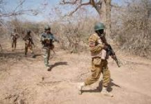 Lutte contre le terrorisme : 163 terroristes neutralisés