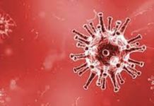 Santé : Découverte d’un variant plus contagieux du VIH/SIDA