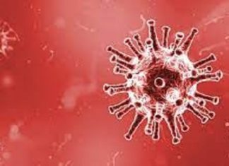 Santé : Découverte d’un variant plus contagieux du VIH/SIDA