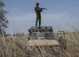 Attaques dans le nord du Bénin : un nouveau bilan annonce 9 morts