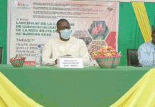 Campagne 2022 de commercialisation de la noix de cajou : Le prix du kilogramme fixé à 330 F CFA bord champ