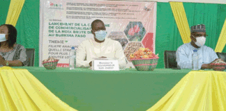 Campagne 2022 de commercialisation de la noix de cajou : Le prix du kilogramme fixé à 330 F CFA bord champ