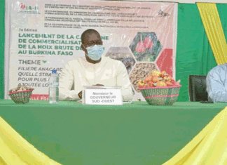 Campagne 2022 de commercialisation de la noix de cajou : Le prix du kilogramme fixé à 330 F CFA bord champ