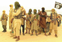 Gayéri : Plusieurs terroristes neutralisés dans un assaut des FDS et VDP (AIB)