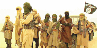 Gayéri : Plusieurs terroristes neutralisés dans un assaut des FDS et VDP (AIB)