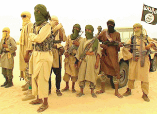 Gayéri : Plusieurs terroristes neutralisés dans un assaut des FDS et VDP (AIB)