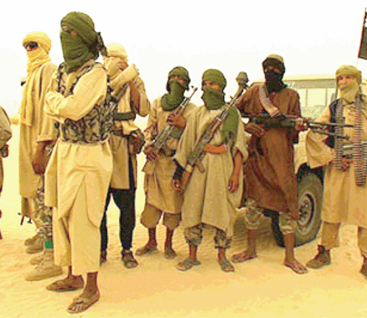 Gayéri : Plusieurs terroristes neutralisés dans un assaut des FDS et VDP (AIB)