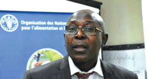 Lutte contre l’insécurité alimentaire : La FAO et le Burkina s’accordent sur les priorités