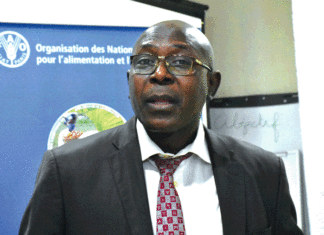 Lutte contre l’insécurité alimentaire : La FAO et le Burkina s’accordent sur les priorités