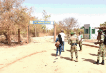 Actu vert : La forêt régionale du Centre risque de disparaitre