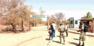 Actu vert : La forêt régionale du Centre risque de disparaitre