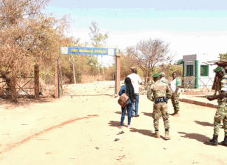 Actu vert : La forêt régionale du Centre risque de disparaitre