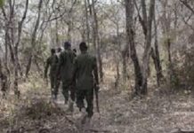 Bekuy/Tuy :le poste forestier attaqué, aucune perte en vie humaine