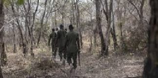 Bekuy/Tuy :le poste forestier attaqué, aucune perte en vie humaine