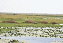 Commune de Dori : La grande mare agonise