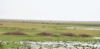 Commune de Dori : La grande mare agonise