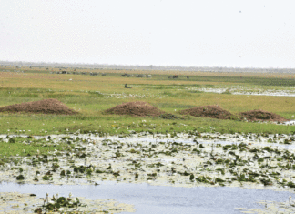 Commune de Dori : La grande mare agonise