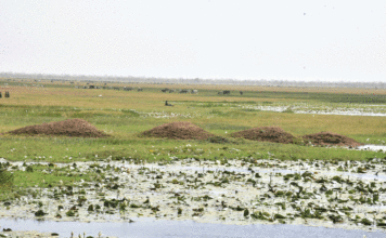 Commune de Dori : La grande mare agonise