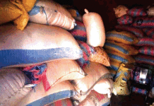 Vente des céréales dans la Boucle du Mouhoun : Hausse vertigineuse des prix dans le grenier du Burkina