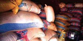 Vente des céréales dans la Boucle du Mouhoun : Hausse vertigineuse des prix dans le grenier du Burkina