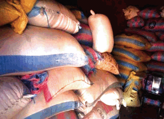 Vente des céréales dans la Boucle du Mouhoun : Hausse vertigineuse des prix dans le grenier du Burkina