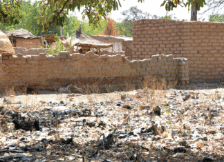 Usage des sachets plastiques : Vivement l’application de la loi n°017!