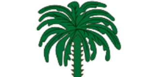 Attaques contre les installations pétrolières saoudiennes : L’Arabie saoudite décline toute responsabilité en cas de pénurie