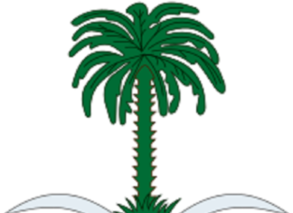 Attaques contre les installations pétrolières saoudiennes : L’Arabie saoudite décline toute responsabilité en cas de pénurie