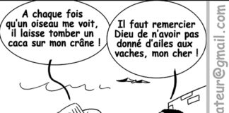 Sourire du 29/03/2022