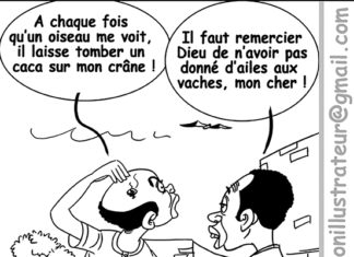 Sourire du 29/03/2022