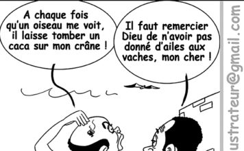Sourire du 29/03/2022