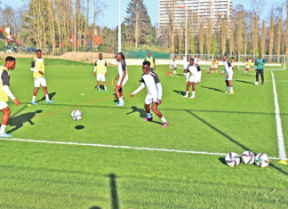 Match amical Belgique # Burkina Faso : les Etalons promettent une opposition âpre ce soir